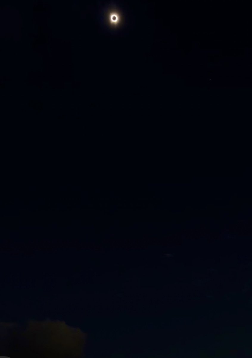 Amna Syed tweet media