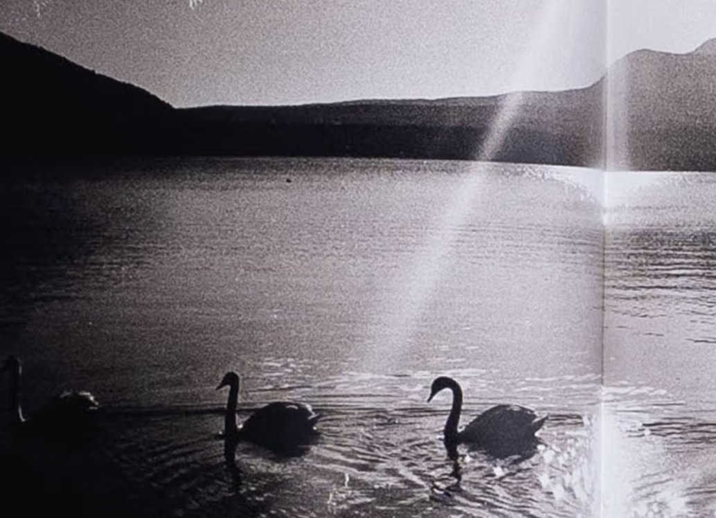 Ikaustat tweet media