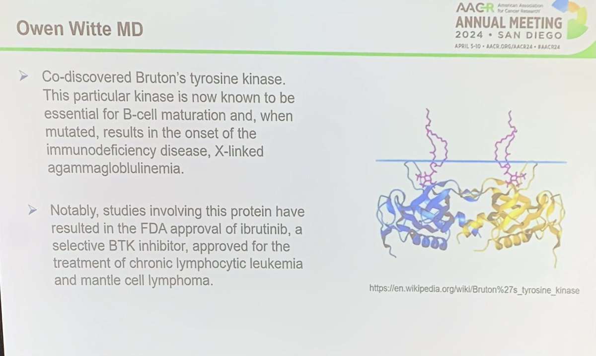 Amazing accomplishments! Discovered ABL kinase, BCR-ABL fusion in CML and BTK! Laying the groundwork for many targeted agents in cancer. #AACR24