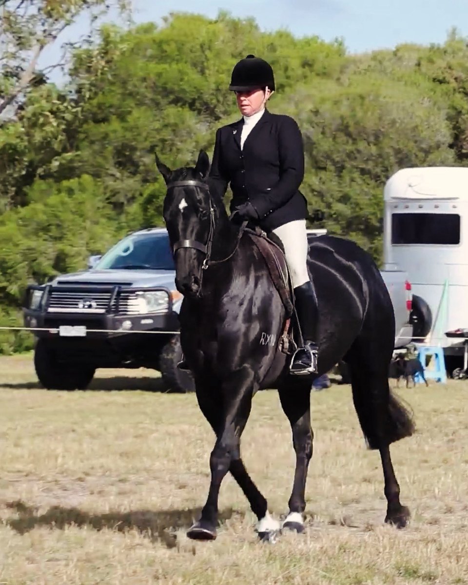 Nasukawa stepped out again on the weekend to win Champion Show Hunter Hack 🙌 This guy has taken to his new career with the greatest of ease ❤️❤️ Such a pleasure to do anything with! <a href="/PriceBloodstock/">Price Bloodstock</a> <a href="/RACEDHorses/">R.A.C.E.D</a>
