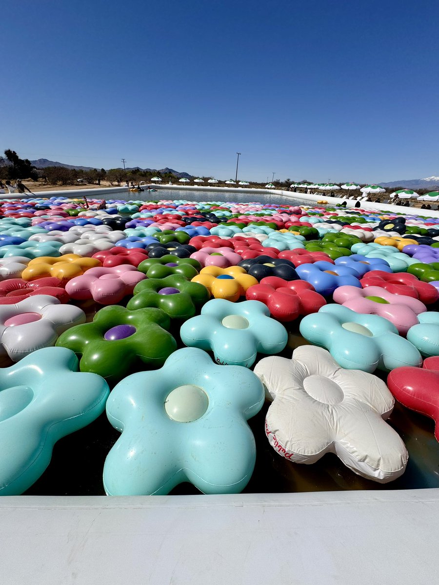 naturelover247's tweet photo. Love finding surprises out in the middle of the desert. This public pool by CJ Hendry was fun to check out. A plastic oasis full of colorful floral floaties. #cjhendry #plasticoasis #publicpool https://t.co/tybXocfdFD
