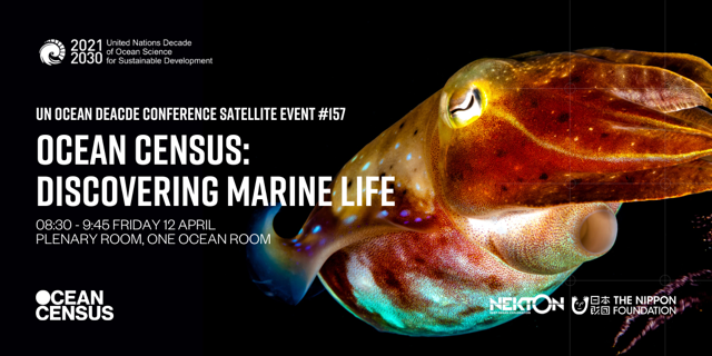 Are you at the UN #OceanDecade Conference this week? Join us for a discussion about ways to leverage Ocean Census data for marine science and conservation. 
#TaxonomyTuesday #OceanDecade24 #MarineLife #OceanConservation