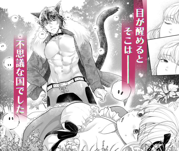 孕みの国のアリス① 