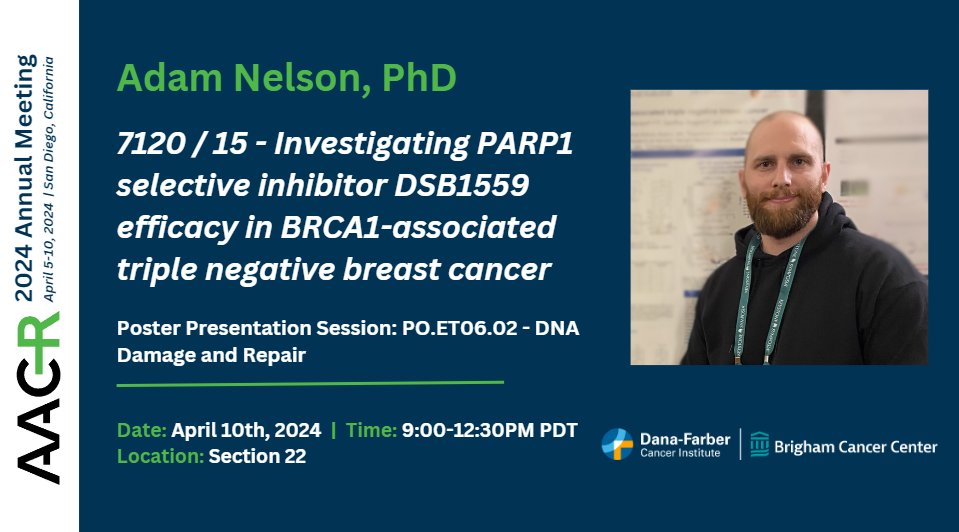 Don't miss Adam Nelson, Ph.D. sharing his research on PARP1 selective inhibitor DSB1559 efficacy in BRCA1-associated #TNBC at today's #AACR24 poster session on DNA damage and repair. @jennguerriero abstractsonline.com/pp8/#!/20272/p…