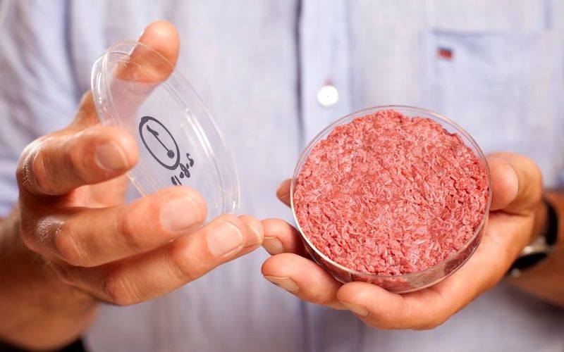 How will cultured meat change the future of food?

🔗 en.technologic.com.tr/cultured-meat-… #culturedmeat #food #sustainability