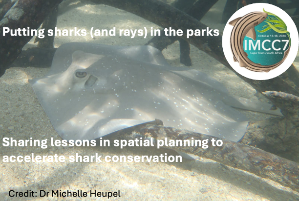 Interested in spatial planning &amp; shark conservation?

Do you have a case study or lessons to share? Are you going to <a href="/SCBMarine/">SCB Marine Program</a>  7th International Marine Conservation Congress #IMCC7

Join our open symposium led by Dr Amanda Lombard and I. Abstract deadline 11th April.