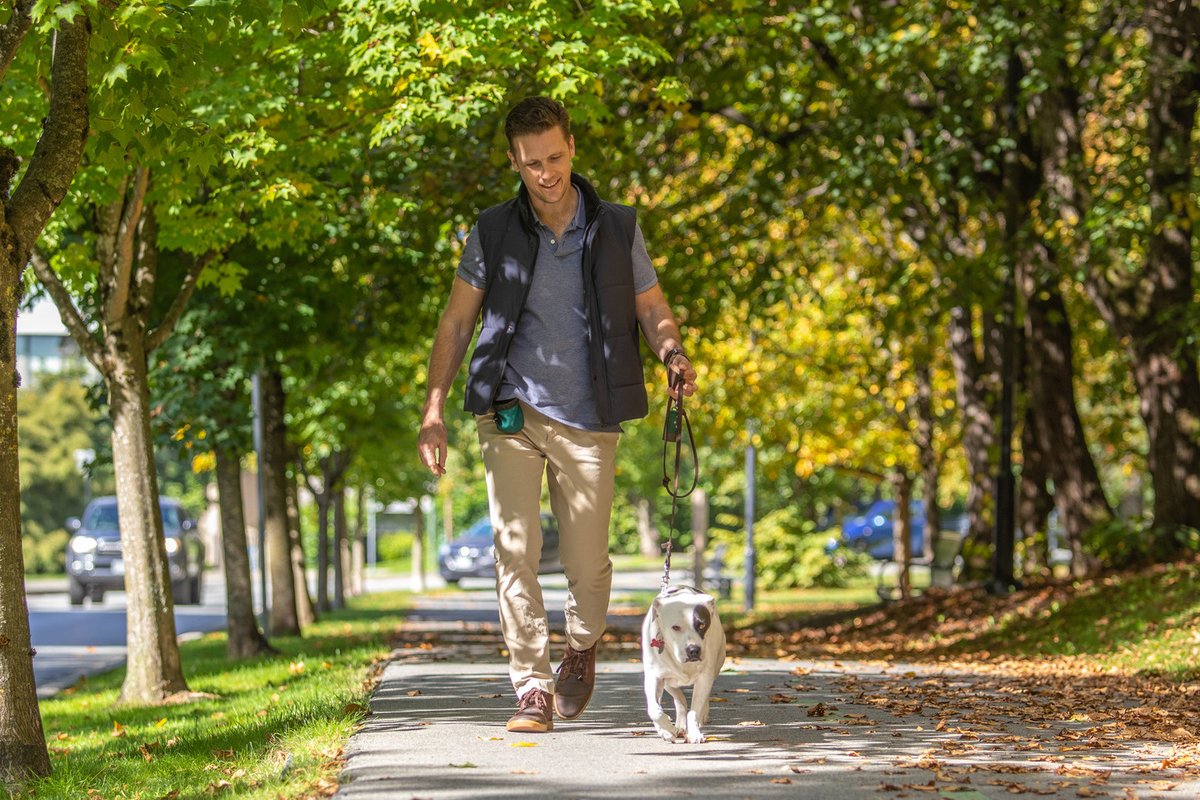 🌷 Spring is finally here, and we know all you pup owners are itching to explore the great outdoors with your furry best friend! 🐶 Put your best paw forward by checking out our tips on responsible dog ownership and discovering off-leash parks in the City: cnv.org/Dogs