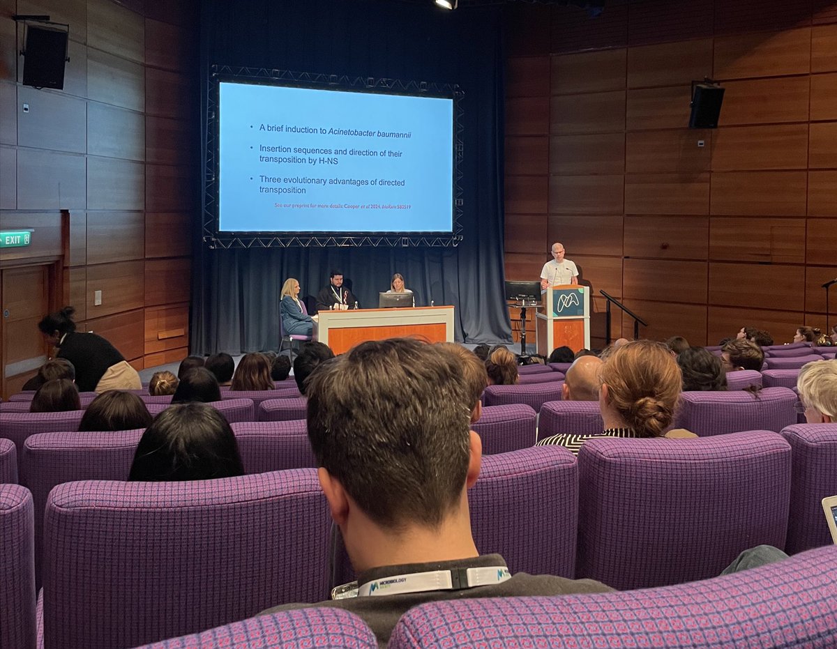 XenosInScience's tweet image. Great talk by @GraingerLab at the #microbio24 about H-NS protein and its impact on transposons insertions in A. baumannii, organised by @MicrobioSoc