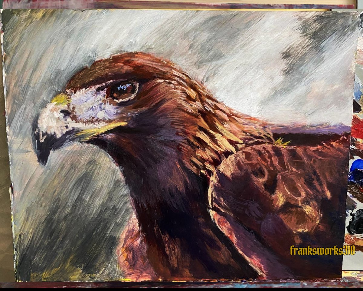 'Golden Eagle'
8x10in. Acrylic colors on paper
#golden #eagle #goldeneagle #wildlife #stilllife #painting #acrylicpainting #liquitexpaint #basicsacrylicpaint #watercolor #paper #fabrianopaper #princetonbrush #rosemarybrushes