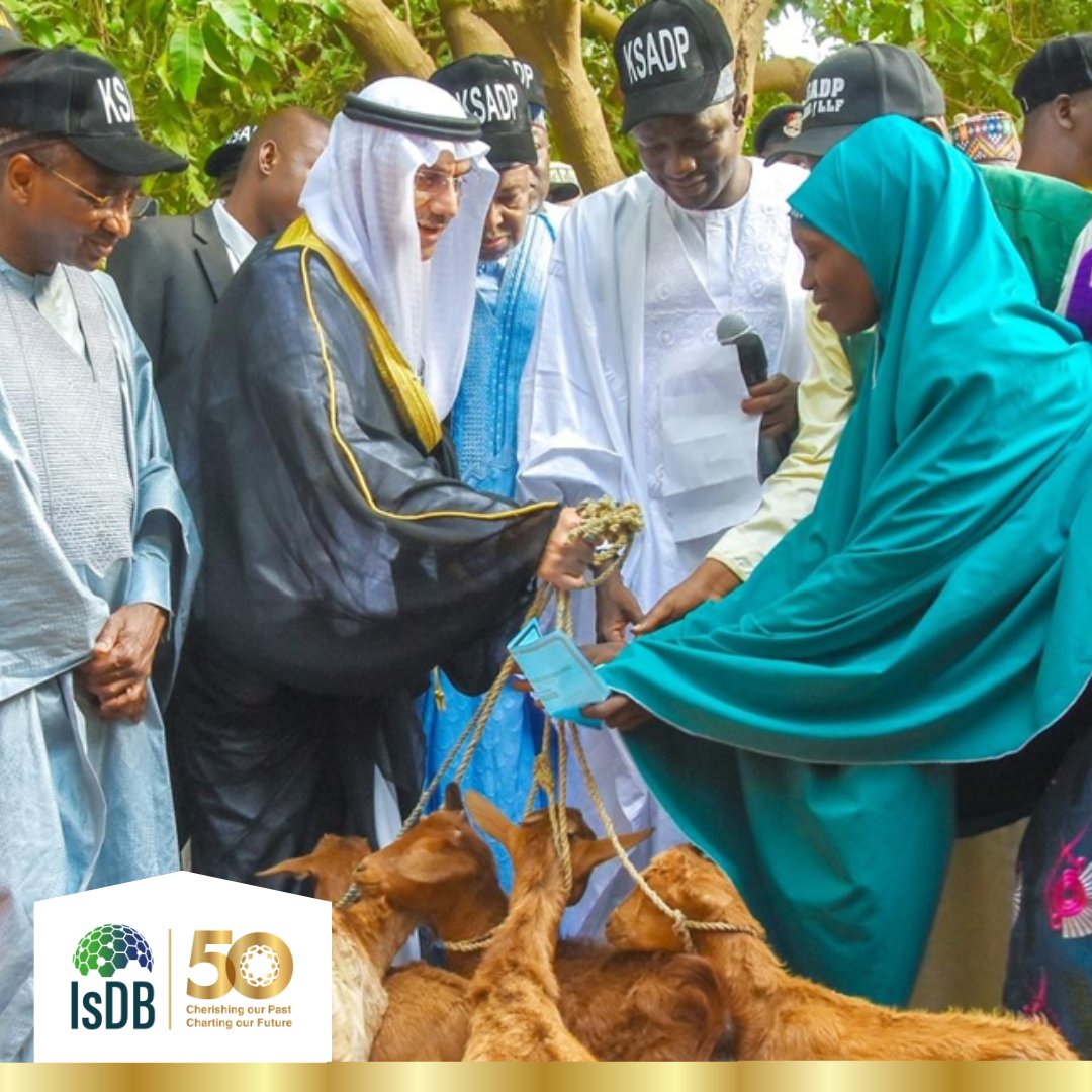 From selling 'Awara' to owning a grinding machine! Hauwa's journey in Sarauniya, Nigeria, exemplifies the profound impact of empowerment projects. Thanks to a strategic initiative by #IsDB and partners via the @LLF_fund, focusing on goat rearing among other ventures, Hauwa is…