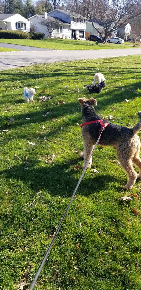 80° f today! Saying hi to my 3 tiny neighbor pals.