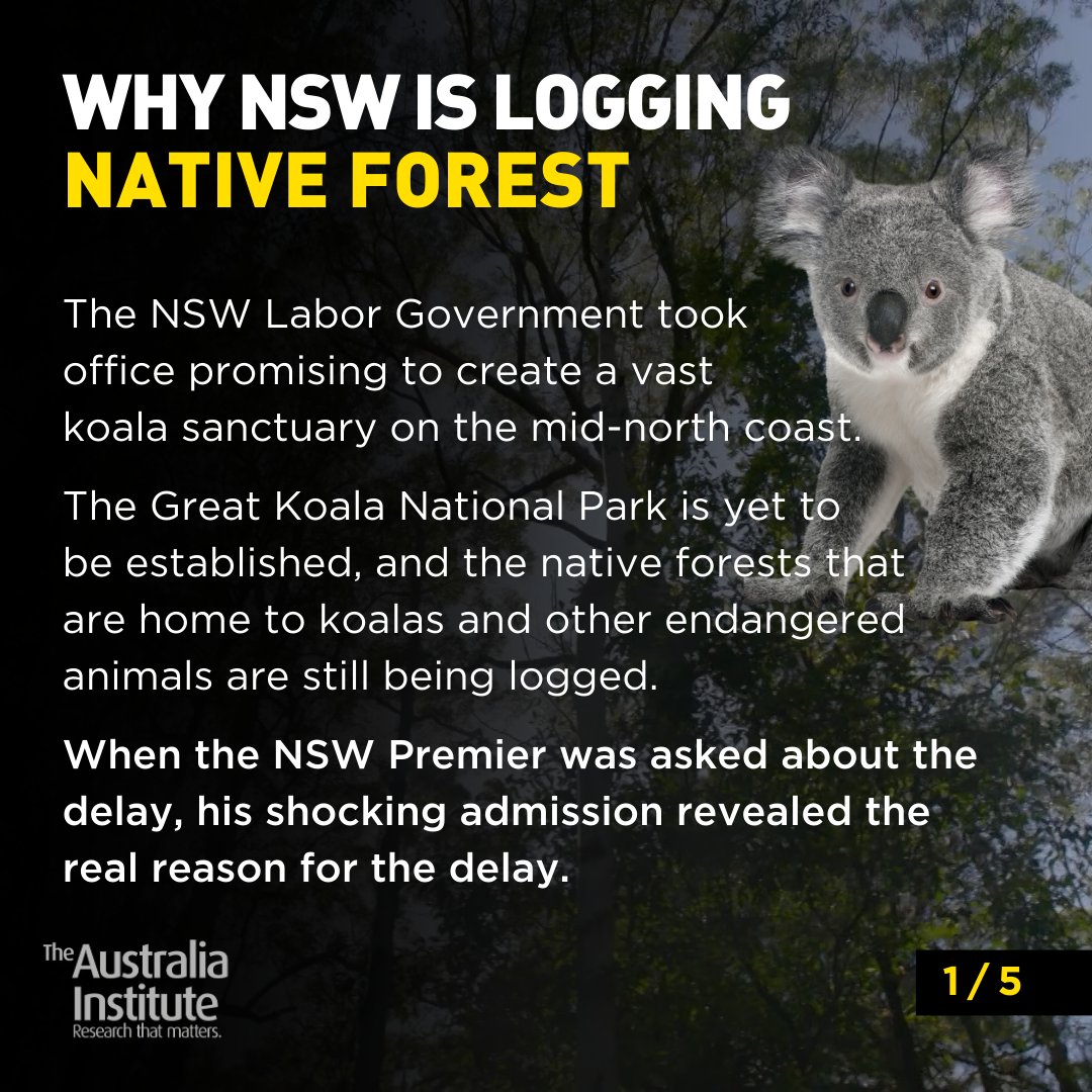 The real reason why the NSW Govt hasn’t fulfilled its promise to protect the koala habitat on the mid-north coast: they are waiting until they can exploit the forest for carbon credits, allowing it to be logged in the meantime. A thread 🧵 (1/7) #auspol
