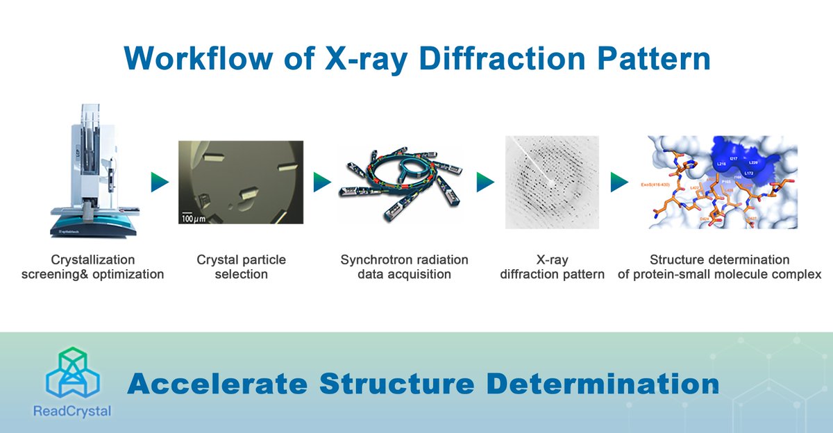 ReadCrystal Biotechnology (@readcrystaltech) on Twitter photo X-ray Diffraction:Accelerating Protein Structure Discovery
With over 500 partners and success in studying 200+ target proteins, <a href="/ReadCrystalTech/">ReadCrystal Biotechnology</a> promises fast results in 1-2 months and flexible pricing to fit your needs
For more information, click here
readcrystalbio.com X-ray Diffraction:Accelerating Protein Structure Discovery
With over 500 partners and success in studying 200+ target proteins, <a href="/ReadCrystalTech/">ReadCrystal Biotechnology</a> promises fast results in 1-2 months and flexible pricing to fit your needs
For more information, click here
readcrystalbio.com