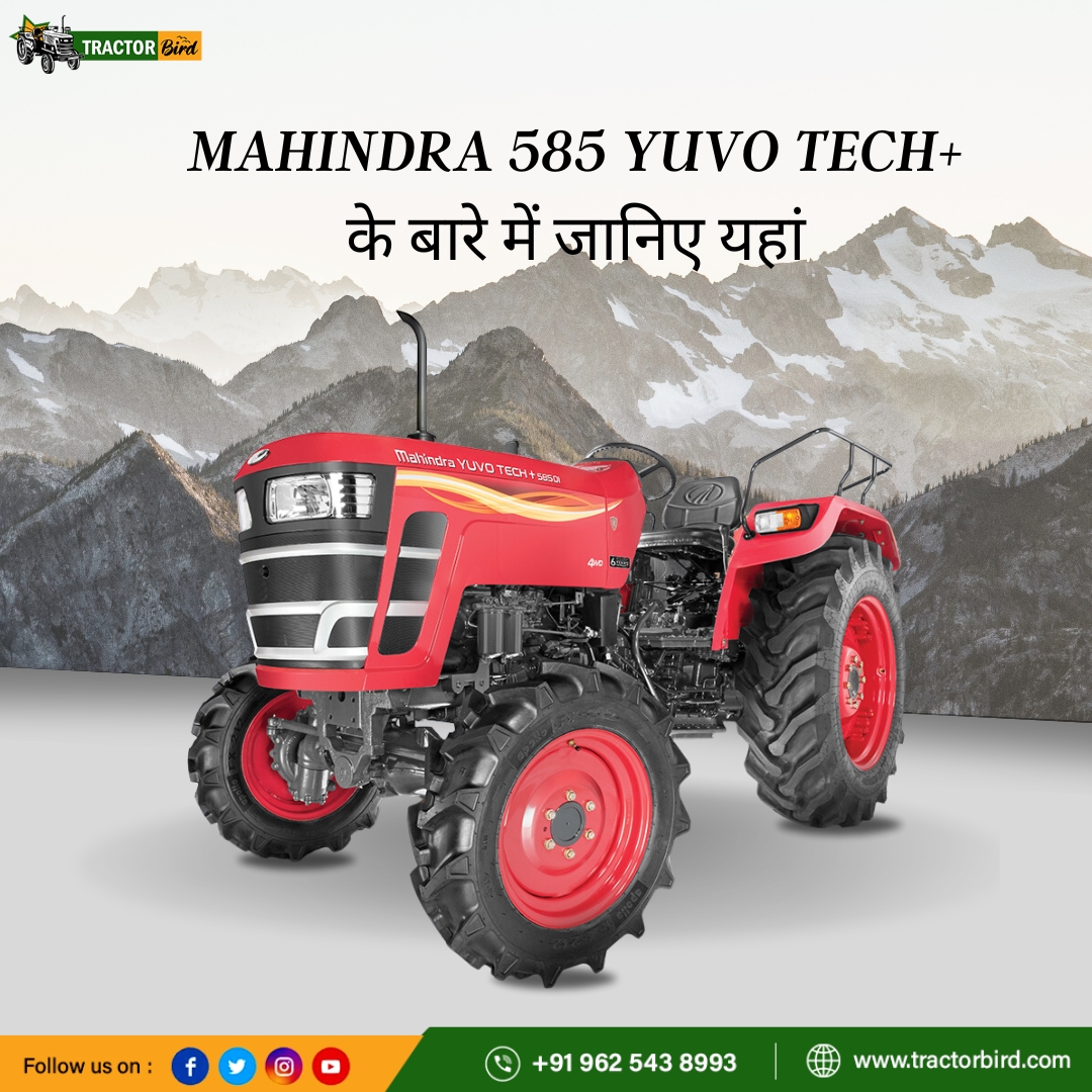 Mahindra 585 YUVO TECH+ ट्रैक्टर आकर्षक डिज़ाइन के साथ आता है। ये ट्रैक्टर महिंद्रा कंपनी द्वारा लॉन्च किया गया एक शक्तिशाली ट्रैक्टर है। . . पूरा पढ़े: t.ly/Jv950 . . #Mahindra585YUVOTECHplus #Mahindra585YUVOTECH+ #Mahindratractor #Mahindra #Mahindrayuvotech