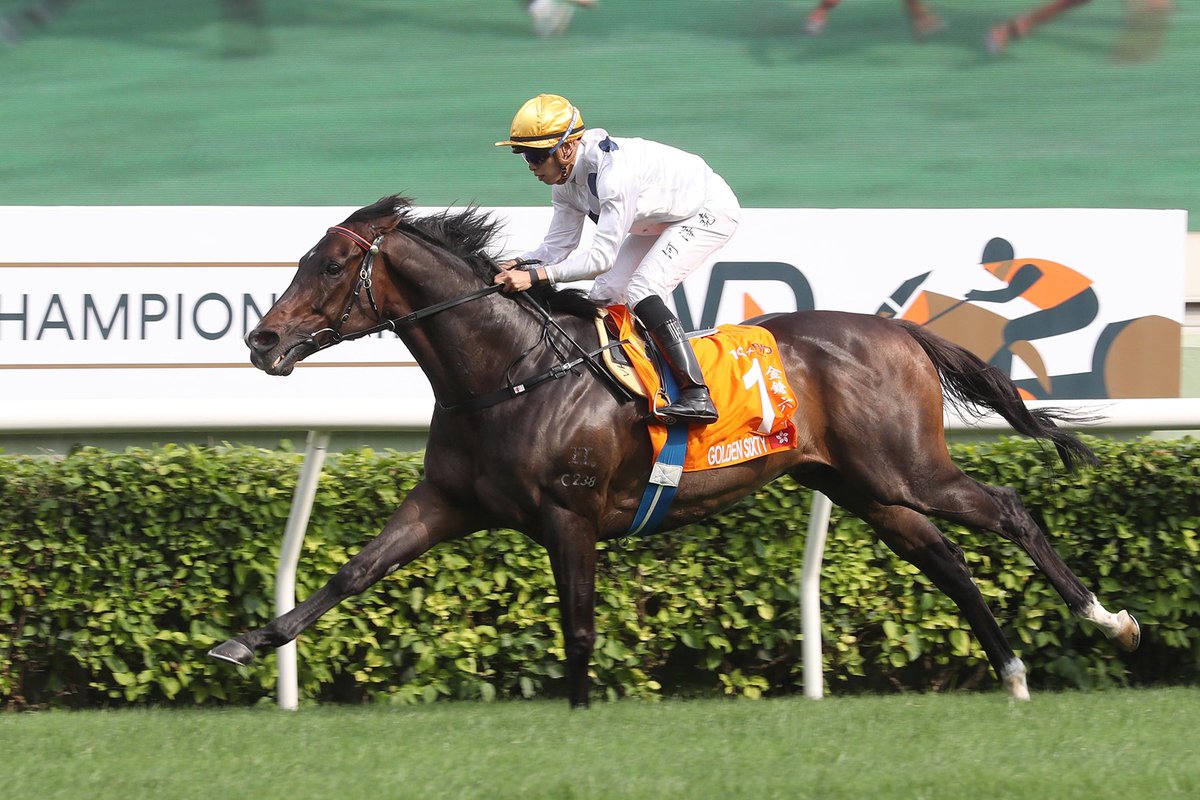 Golden Sixty, Romantic Warrior, California Spangle, Dubai Honour highlight #FWDChampionsDay runners. #HKracing #競馬 

Read here 👉 racingnews.hkjc.com/english/2024/0…