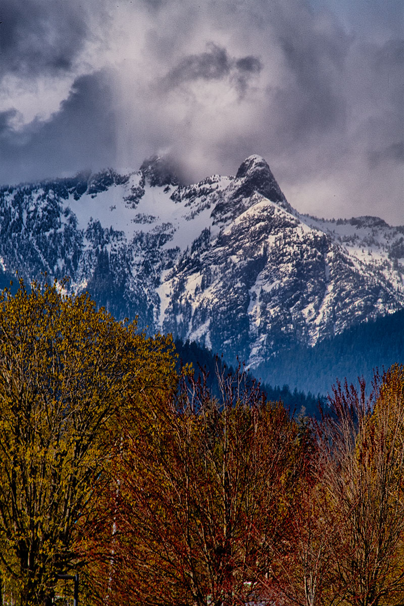 Ch'ích'iyúy Elx̱wíḵn, aka The Twin Sisters, peaking out from the clouds gathered on the North Shore mountains. #vancouverisawesome #northvancouver #vancouversnorthshore #canada #bc #britishcolumbia #squamishnation #coastmountains #thelions #thetwinsisters