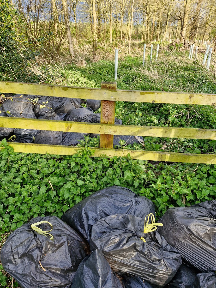 AdeysAlthorp's tweet photo. Good morning all. Normal start to the day for some of us!
I'm not entirely sure what the roads/footpaths around Althorp would look like if we just left all the daily dumped rubbish for the council to remove! Not a nice look is it?
Conservation@althorp.com
#flytipping #Harlestone https://t.co/dZhwmhc7si