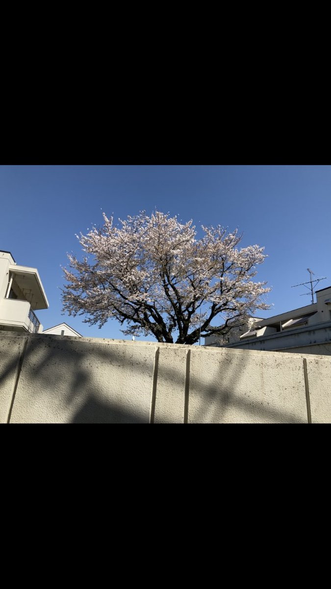 皆さんお疲れ様です。皆さんにとってすてきな事が沢山オトズレますように。