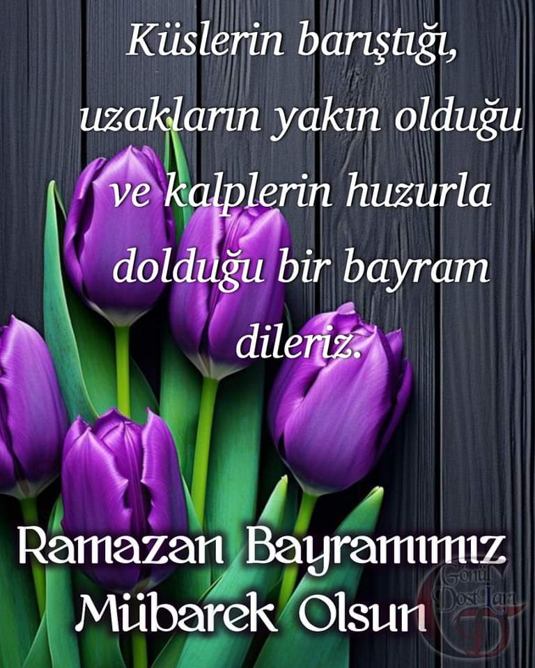 Hayırlı bayramlar arkadaşlar sizin, ailenizin ve tüm  sevdiklerinizin bayramı mübarek olsun hep birlikte nice mutlu sağlıklı bayramlara 🤲
#Eyt99SonuHakkımız
#Eyt99SonuTekYürek
#Eyt99DepremiTorbaYasaya