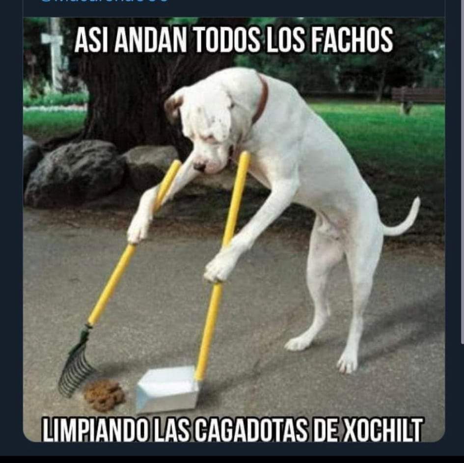 ndurancoronado's tweet photo. Como Guadalupe Loaeza .
#PeloChino
#PeloLacio
No saben que inventar https://t.co/xKyEHnR5UX