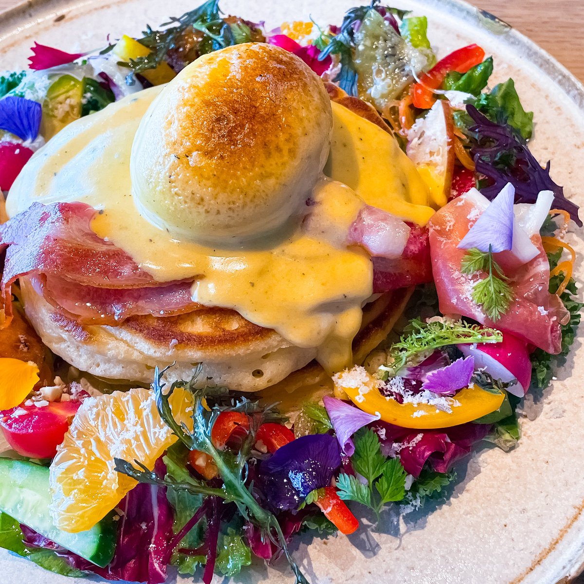 oue_52's tweet photo. 今日もお昼から贅沢してきました🍴 https://t.co/DahyKPTWXa