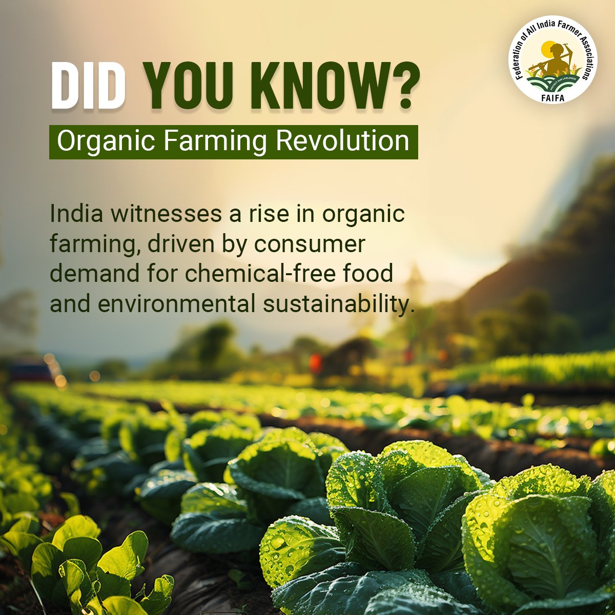 India Embraces Organic Farming for Health and Sustainability.

#OrganicFarming #DidYouKnow #AgriFacts #Sustainability
#SustainableFarming #agriculture