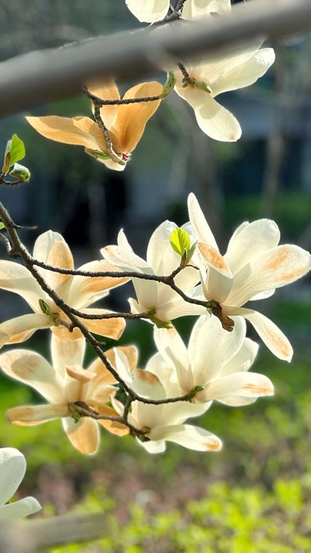 along's tweet image. 