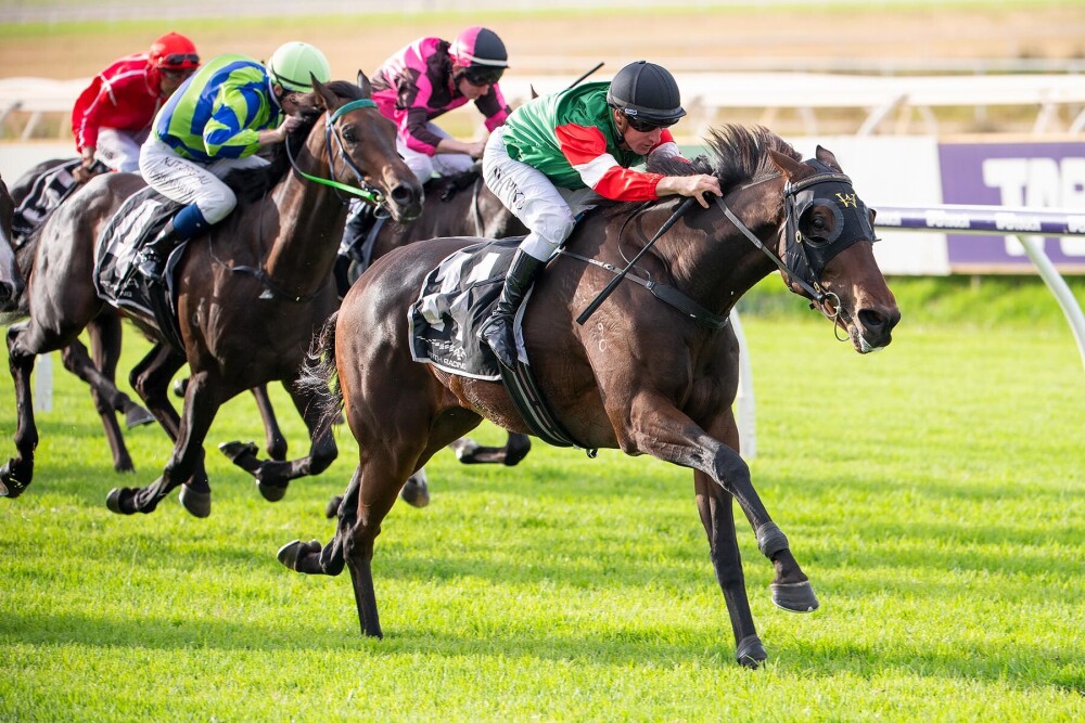 The scene is set for a superb edition of the Group 2 $400K Schweppes-W.A.T.C. Derby (2400m) at Ascot this Saturday. 🏆 After doing battle in last year's WA Guineas and Northerly Stakes, Zipaway and A Lot Of Good Men are ready to lock horns once more. When you add outstanding WA…