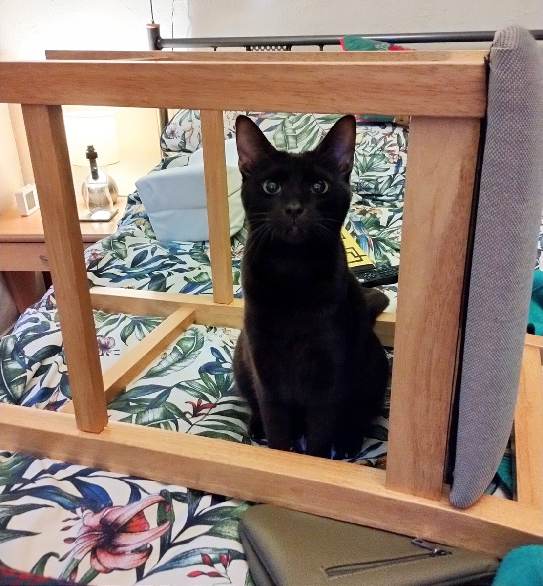 Chanel: Mummy, I'm not sure why you've put this chair on the bed but I like it!