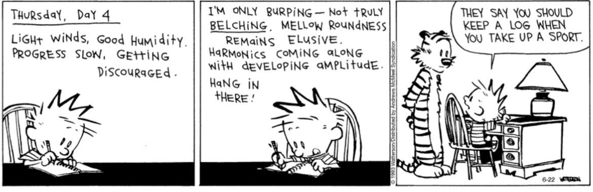 #CalvinandHobbes