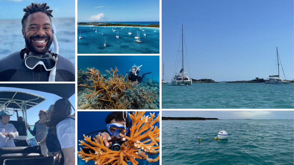 🇧🇸🪸The #GFCR-funded programme in the #Bahamas, spearheaded by @nature_org, has accelerated development of reef-positive businesses, including new mooring systems for Great and Little #Exuma. 🗞️ Read the progress update in the new #GFCR newsletter ⬇️ mailchi.mp/undp/gfcr-news…