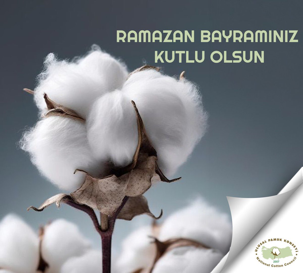 Ramazan Bayramınız Kutlu Olsun!
#upk #ramazanbayramı