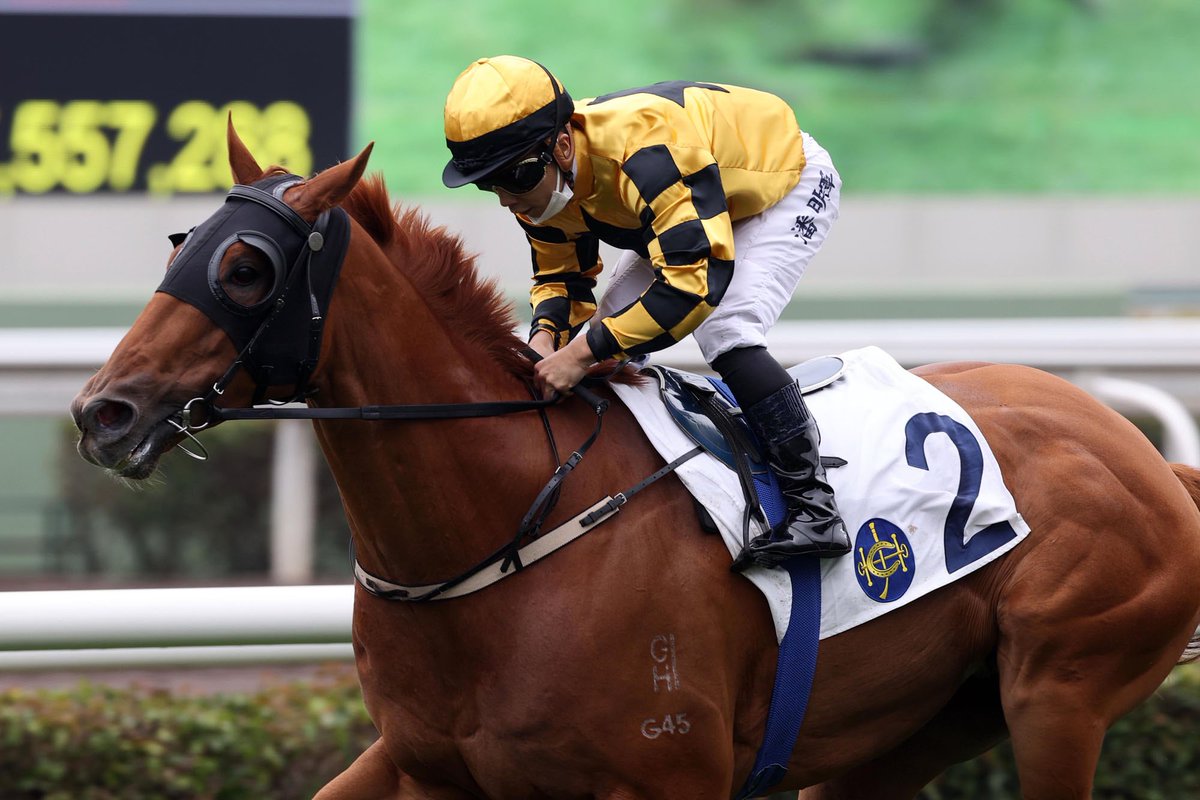 🐎 Sunrise Ronaldo 🇯🇵 
🐎 Duke Wai 🇭🇰 
🐎 Flying Ace 🇭🇰 
🐎 Mugen 🇭🇰 
🐎 Believing 🇬🇧 
🐎 Little Brose 🇭🇰 

#FWDChampionsDay | #HKracing | #競馬