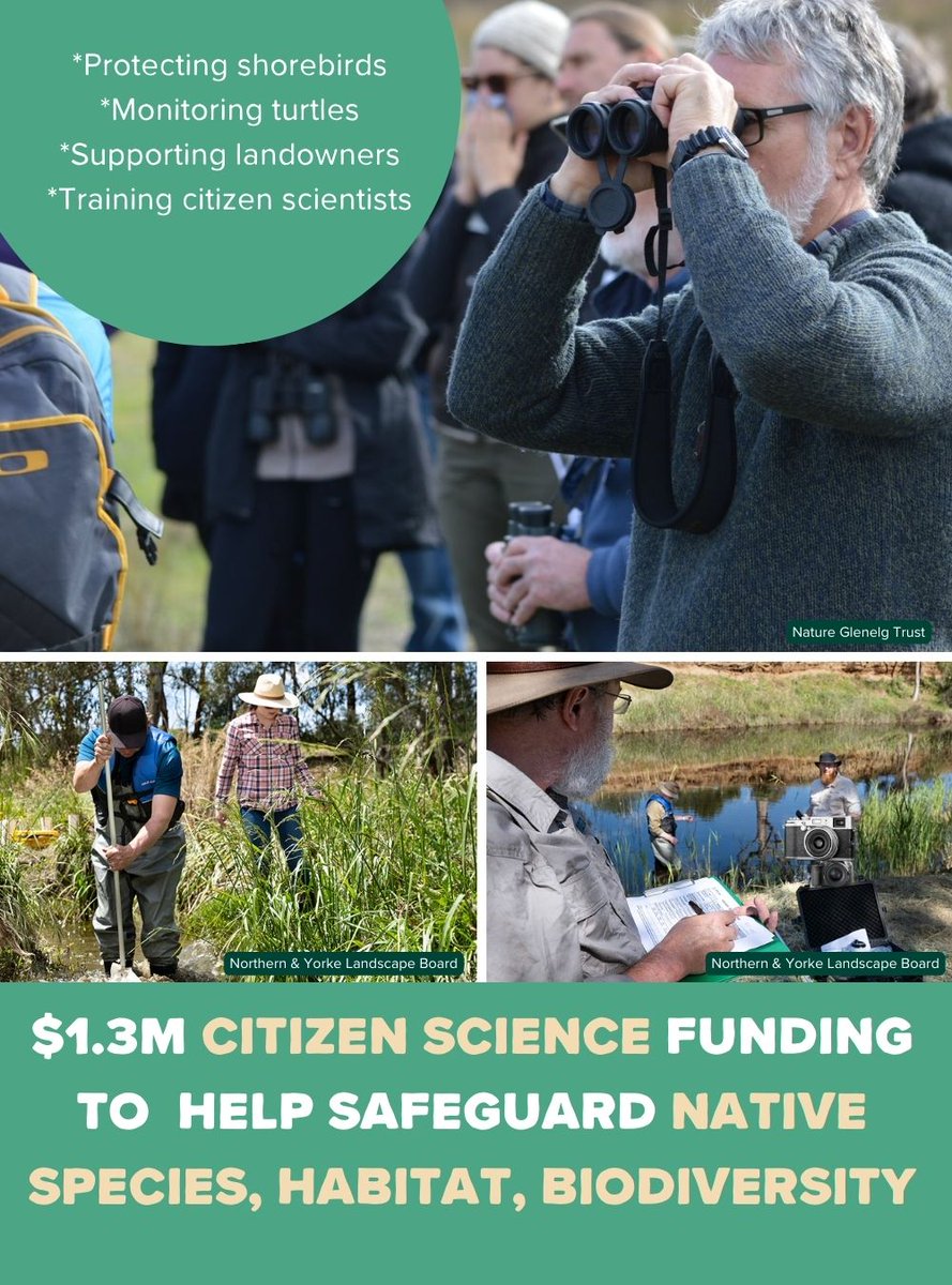 Citizen science for the win! Ten large-scale projects that will help us better understand SA’s flora and fauna will share in $1.3m in funding, as part of the State Government’s Citizen Science Fund. Read more + full list of projects: environment.sa.gov.au/news-hub/news/… #CitizenScience