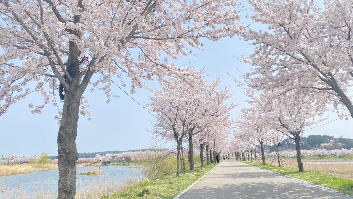 나는 선한 싸움을 싸웠고
나의 길을 완주했고
나의 믿음을 지켰다.

근래 들은 말 중 가장 위로가 되는 말. 그러면 된 것이다, 그러면 된 것이다.