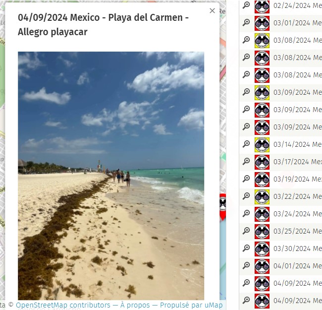 Apr.09th  2024 #Mexico #Mexique #PlayadelCarmen

Pictures of the day on the map 2024
here : sargassummonitoring.com/en/official-ma…

#sargassum #sargasso #sargazo #sargasses #sargassummonitoring #SurveillancedesSargasses #MonitoreodeSargazo #RivieraMaya #CitizenScience #sargassumseaweedupdates