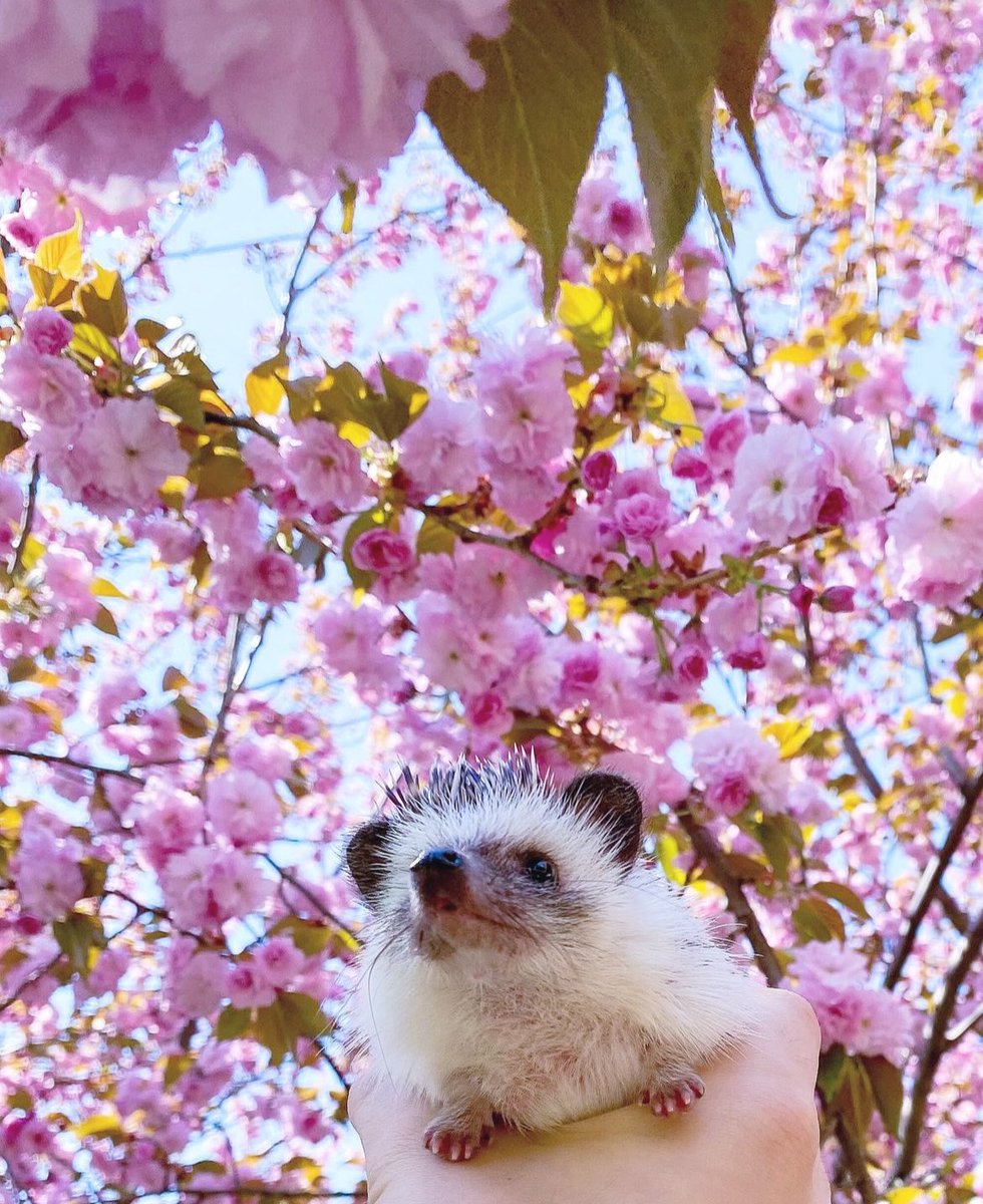 Tuesday 9th April, 2024