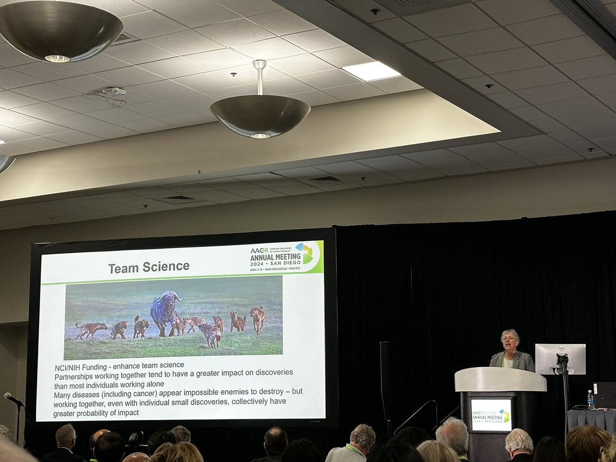 I experienced my first @AACRPres talk today from the amazing Dr. Patrica LoRusso who spoke about my favorite topic of #teamscience at #AACR24 during the Major Symposium regarding #cancermoonshot ! I am so MOTIVATED!!! Together we achieve more! #AACRAMC @AACR