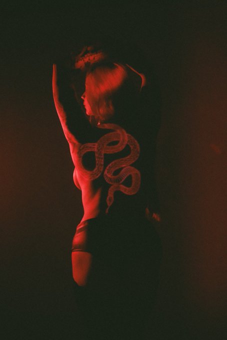 🐍❤️🐍 New set up  https://t.co/xfu4Je2fXb  30% off next 100 subs ✨ https://t.co/PA8sweKXnb