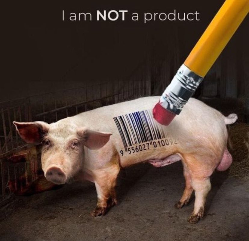 Do you think animals are just a product?