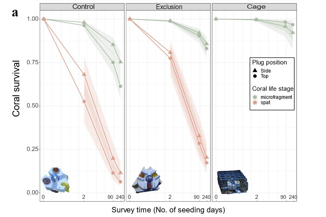 Dr Taylor Whitman tweet media