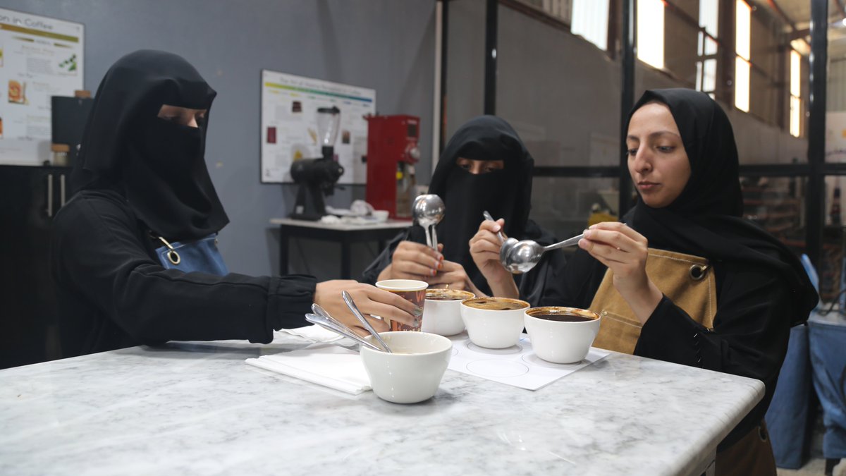 In Yemen, with support from @UNDPYemen's SIERY project, Yemeni women are mastering coffee cupping and roasting, enriching both tradition and economy. Here is more: go.undp.org/koT8