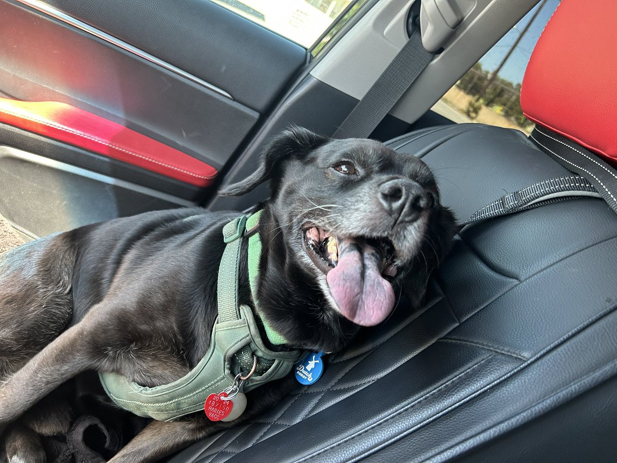 mellycharles's tweet image. Until we meet again 🌈🩵