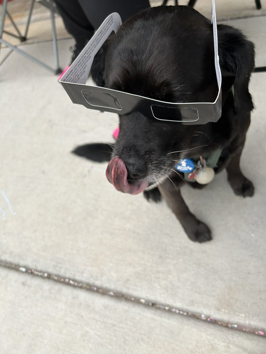 mellycharles's tweet image. Until we meet again 🌈🩵