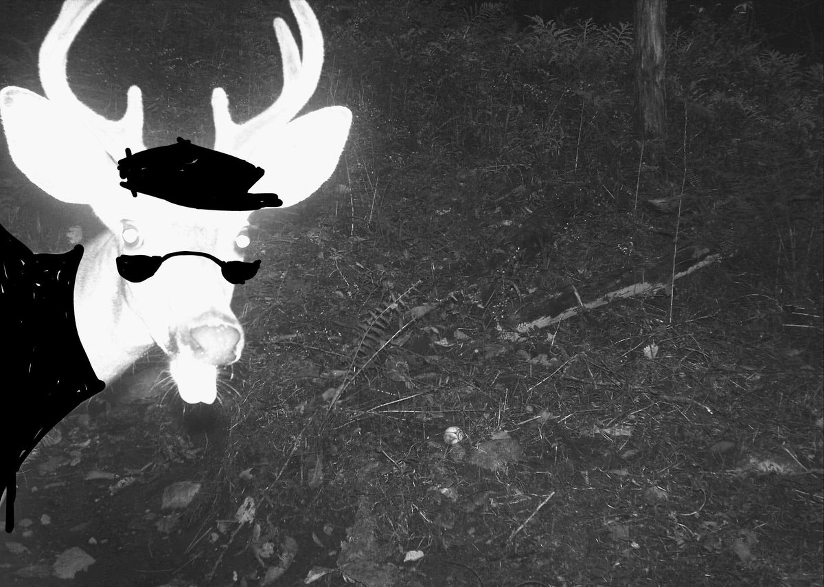 heatnik's tweet photo. Hahaha haha 
Hey
Hey guys
If a deer jacks off would you say they're bleating their meat https://t.co/TLIF8KmmdZ