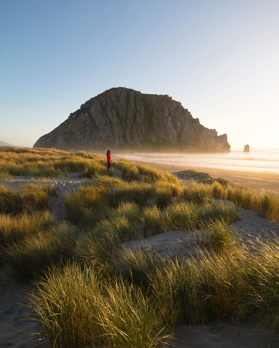 Morro Bay, CA tweet media