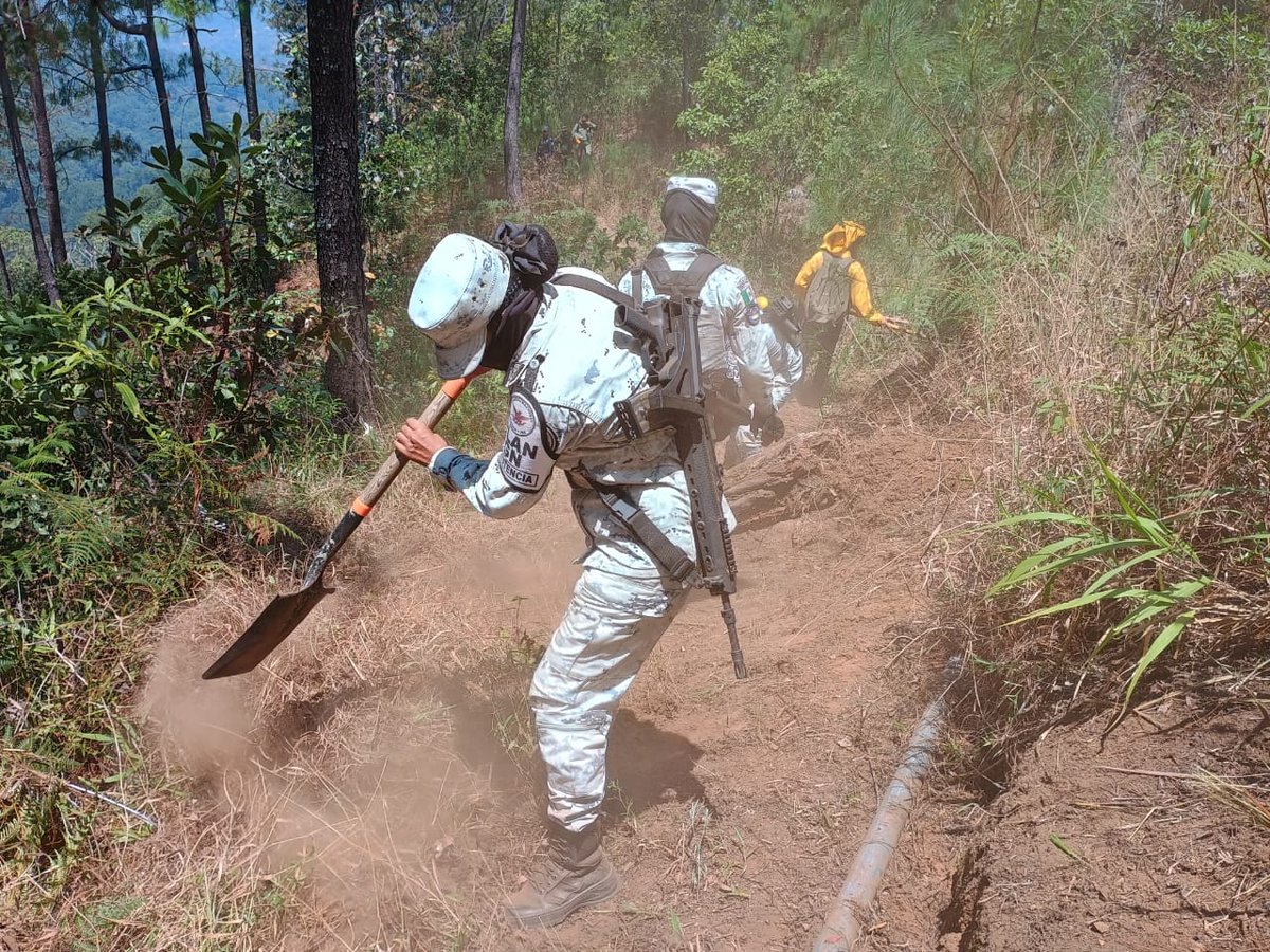 En apoyo a las acciones de protección civil, la #GuardiaNacional activó el #PlanGN_A con la finalidad de colaborar en la sofocación del incendio forestal registrado en la localidad El Rastrojo en el municipio de Santiago Juxtlahuaca en #Oaxaca.