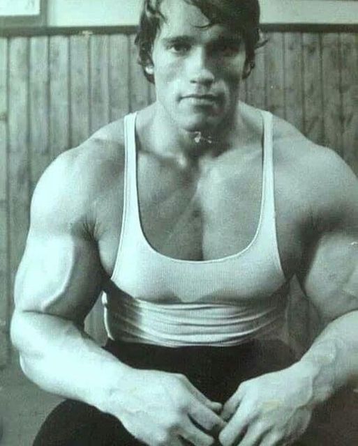 NITRO GYM
🏋️‍♂️💪💪🥇🏆🤴
Father of Bodybuilding 
Arnold 
#feed
#feedfeed
#reels
#instagood
#viral
#fitness
#instareels #instadaily #instagram #bodybuilding #backworkout #bodypositivity #workout #gymlover #gymlife #gym #foryoupage #fitness #motivation #fitnessmodel #trending #foryou