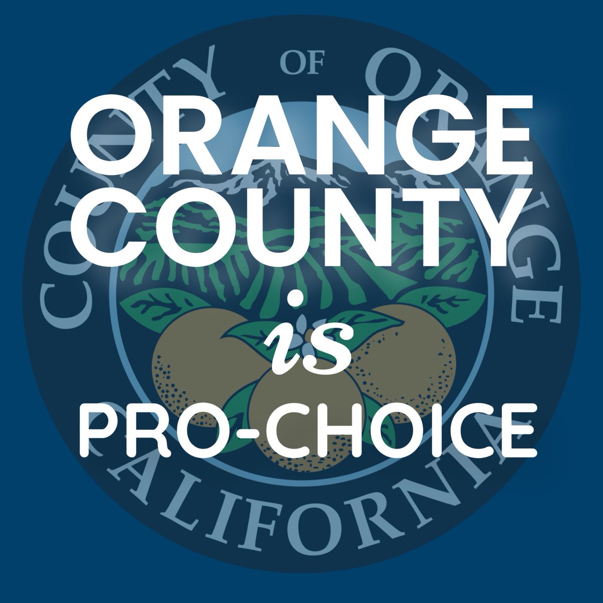 OC Tweeps, we need a clean sweep of every House seat covering our county. 
Here’s who we need to back for a Blue and pro-choice OC. 
#CA38 @RepLindaSanchez 
#CA40 @joekerrcongress 
#CA45 @derektranCA45 
#CA46 @RepLouCorrea 
#CA47 @DaveMinCA 
#CA49 @RepMikeLevin