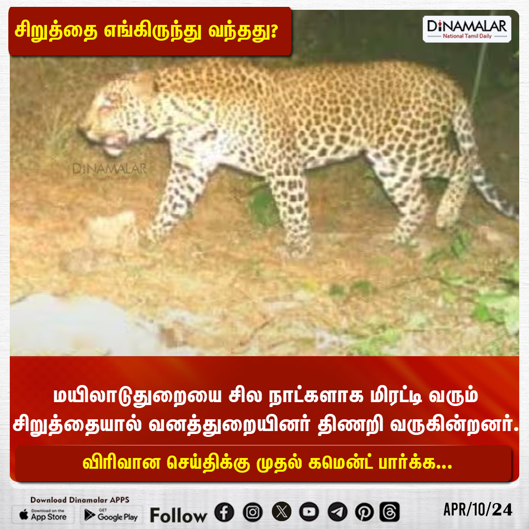 சிறுத்தை எங்கிருந்து வந்தது?
#Leopard #ForestDepartment #mayiladuthuraidistrict
dinamalar.com